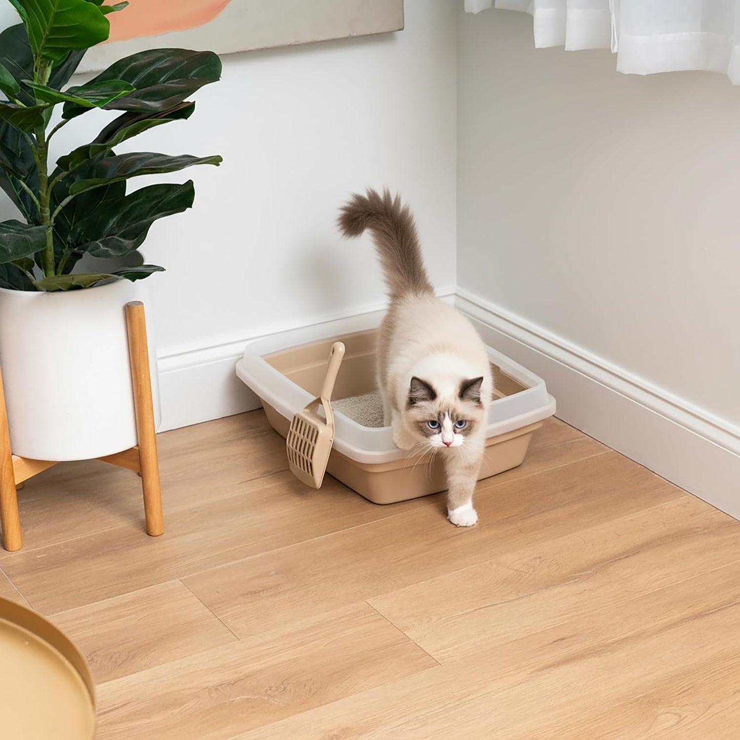 Large Cat Litter Box, Beige | Kittens, Quick Access Design, Open Air Ventilation, Unobstructed Entry, Maximum Airflow, Fastest Cleaning