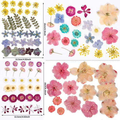 86pcs Pressed Flowers for Resin, Dried Flowers and Dry Leaves for Scrapbooking DIY Art Crafts, Epoxy Resin Jewelry Molds, Candle, Soap Making, Nails Décor