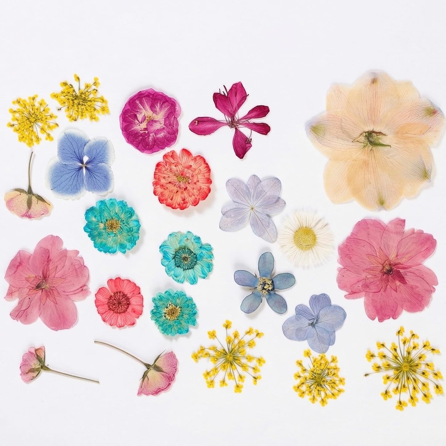 86pcs Pressed Flowers for Resin, Dried Flowers and Dry Leaves for Scrapbooking DIY Art Crafts, Epoxy Resin Jewelry Molds, Candle, Soap Making, Nails Décor