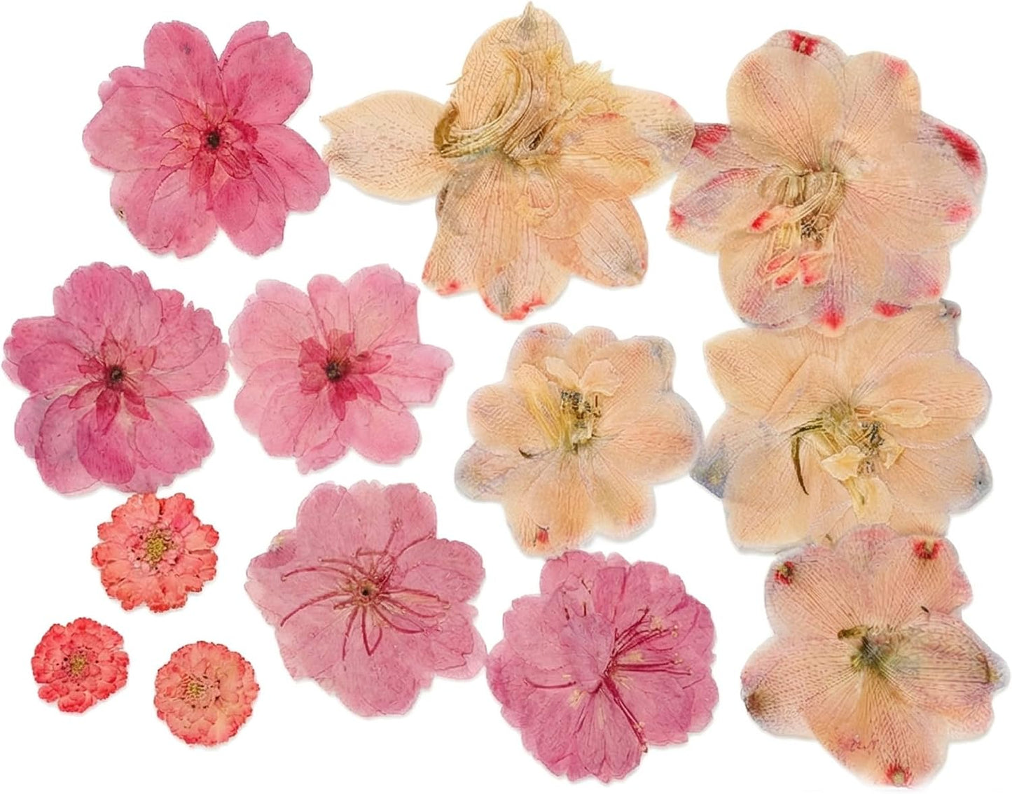 86pcs Pressed Flowers for Resin, Dried Flowers and Dry Leaves for Scrapbooking DIY Art Crafts, Epoxy Resin Jewelry Molds, Candle, Soap Making, Nails Décor