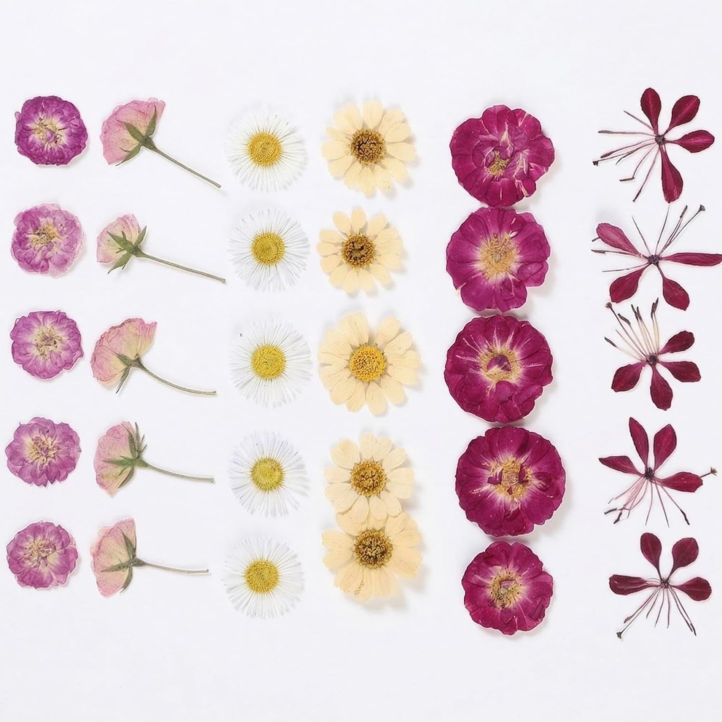 86pcs Pressed Flowers for Resin, Dried Flowers and Dry Leaves for Scrapbooking DIY Art Crafts, Epoxy Resin Jewelry Molds, Candle, Soap Making, Nails Décor