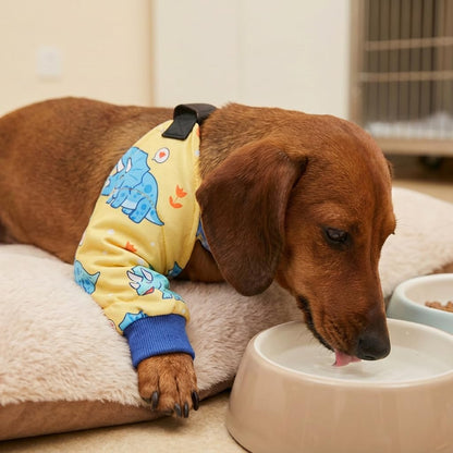 Dog Recovery Sleeve for Front Legs, Two-Leg Dog Leg Sleeve Helps Reduce Licking & Biting, Breathable Elbow Pads, Adjustable Anti-Slip Strap, Soft Cone Alternative, Yellow, M