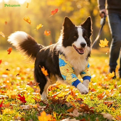 Dog Recovery Sleeve for Front Legs, Two-Leg Dog Leg Sleeve Helps Reduce Licking & Biting, Breathable Elbow Pads, Adjustable Anti-Slip Strap, Soft Cone Alternative, Yellow, M