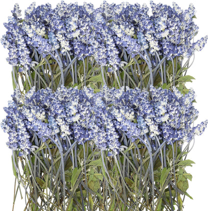 100 Pcs Pressed Dried Lavender Flowers Stems Natural Preserved Real Lavender Stems Dried Flowers for DIY Crafts Invitations Resin Art Scrapbook Card Gift Decoration
