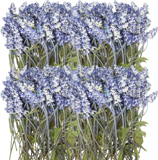 100 Pcs Pressed Dried Lavender Flowers Stems Natural Preserved Real Lavender Stems Dried Flowers for DIY Crafts Invitations Resin Art Scrapbook Card Gift Decoration