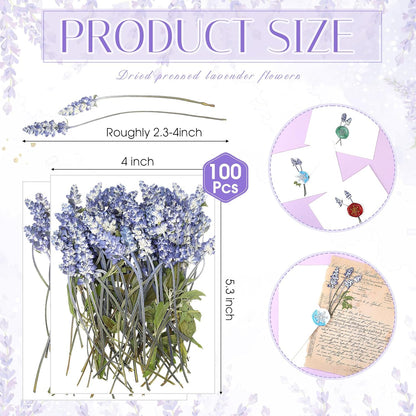 100 Pcs Pressed Dried Lavender Flowers Stems Natural Preserved Real Lavender Stems Dried Flowers for DIY Crafts Invitations Resin Art Scrapbook Card Gift Decoration