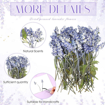 100 Pcs Pressed Dried Lavender Flowers Stems Natural Preserved Real Lavender Stems Dried Flowers for DIY Crafts Invitations Resin Art Scrapbook Card Gift Decoration