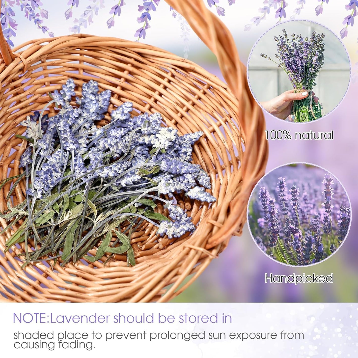 100 Pcs Pressed Dried Lavender Flowers Stems Natural Preserved Real Lavender Stems Dried Flowers for DIY Crafts Invitations Resin Art Scrapbook Card Gift Decoration