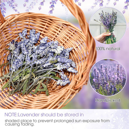100 Pcs Pressed Dried Lavender Flowers Stems Natural Preserved Real Lavender Stems Dried Flowers for DIY Crafts Invitations Resin Art Scrapbook Card Gift Decoration