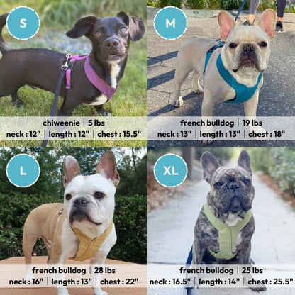 Comfort X Dual Snap Dog Harness, Choke-Free, Yellow, Large | Patented choke-free V-neck X-frame; Flexible body frame; Snap & swivel buckle; Breathable double mesh; Head-in fit