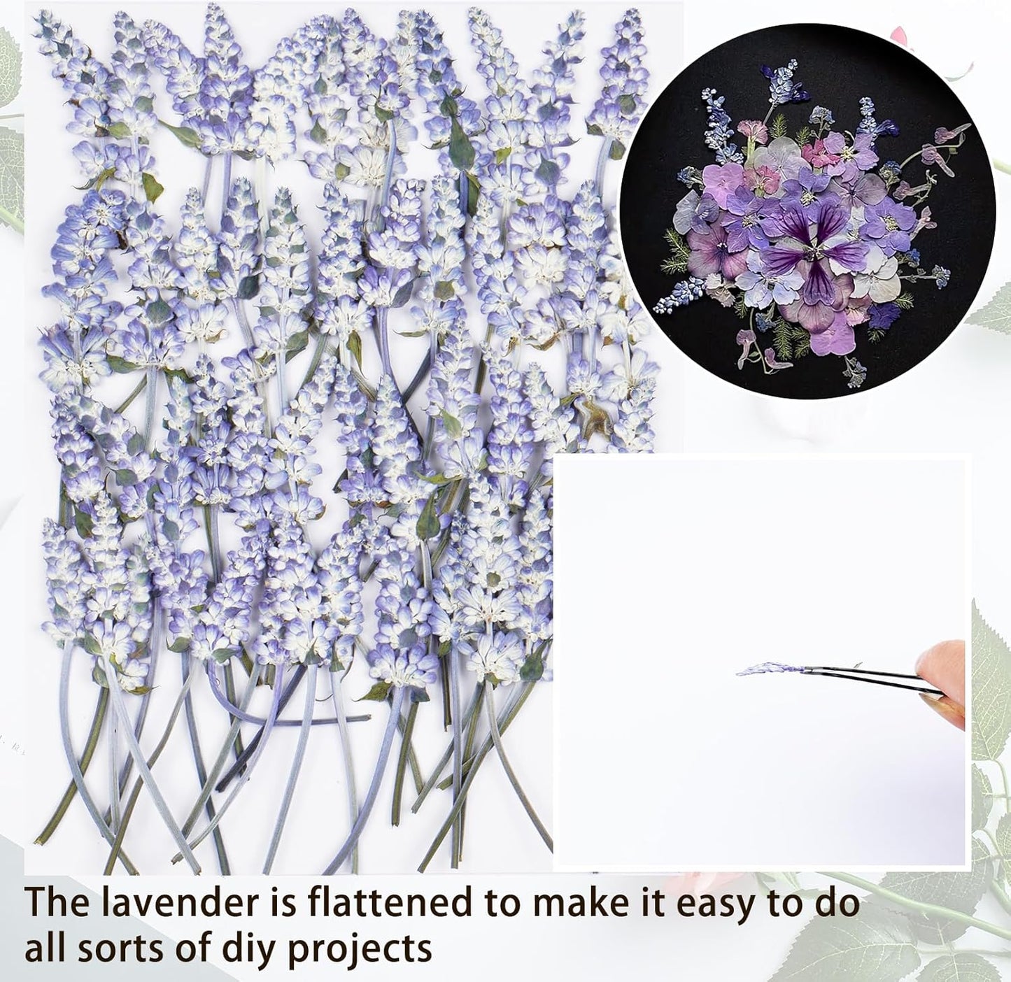 50Pcs Lavender Dried Pressed Flowers for Crafts, Dry Flowers Kit for Wedding Invitation,Resin Molds Bookmark,Jewelry Molds,Candle Making Supplies,Soap,Frame,Cakes