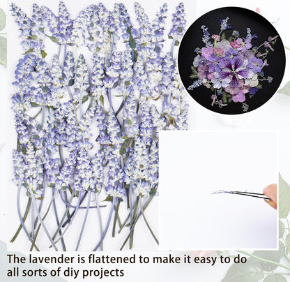 50Pcs Lavender Dried Pressed Flowers for Crafts, Dry Flowers Kit for Wedding Invitation,Resin Molds Bookmark,Jewelry Molds,Candle Making Supplies,Soap,Frame,Cakes