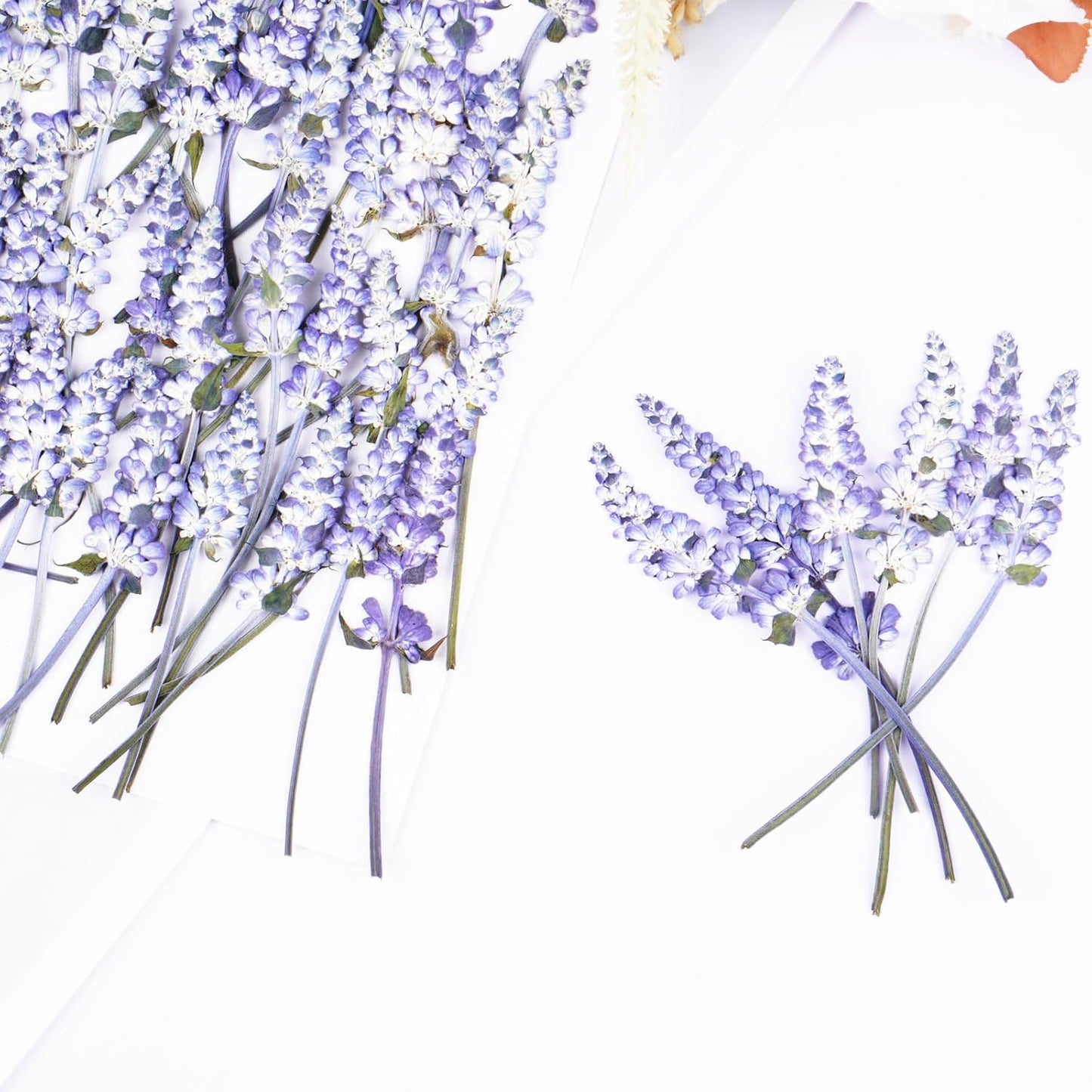 50Pcs Lavender Dried Pressed Flowers for Crafts, Dry Flowers Kit for Wedding Invitation,Resin Molds Bookmark,Jewelry Molds,Candle Making Supplies,Soap,Frame,Cakes