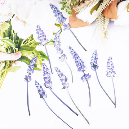 50Pcs Lavender Dried Pressed Flowers for Crafts, Dry Flowers Kit for Wedding Invitation,Resin Molds Bookmark,Jewelry Molds,Candle Making Supplies,Soap,Frame,Cakes