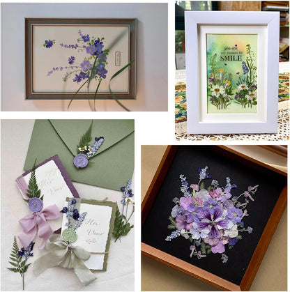 50Pcs Lavender Dried Pressed Flowers for Crafts, Dry Flowers Kit for Wedding Invitation,Resin Molds Bookmark,Jewelry Molds,Candle Making Supplies,Soap,Frame,Cakes