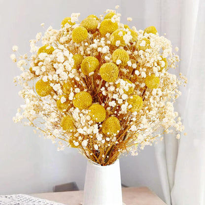 50 Pcs Dried Billy Balls & White Baby’s Breath Flowers, 16" 30Pcs Dried Yellow Craspedia & 20Pcs White Gypsophila Flowers, Rustic Boho Farmhouse Decor, Wedding, Cake, Tall Vase Decoration, DIY Crafts