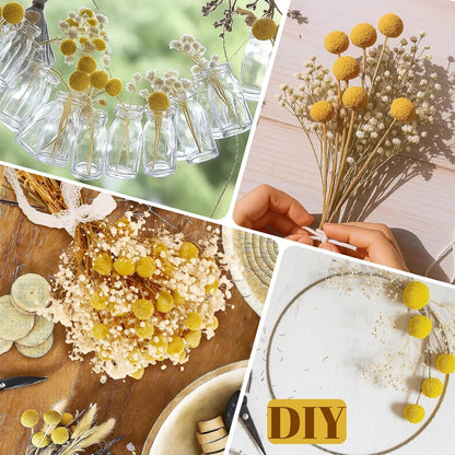 50 Pcs Dried Billy Balls & White Baby’s Breath Flowers, 16" 30Pcs Dried Yellow Craspedia & 20Pcs White Gypsophila Flowers, Rustic Boho Farmhouse Decor, Wedding, Cake, Tall Vase Decoration, DIY Crafts