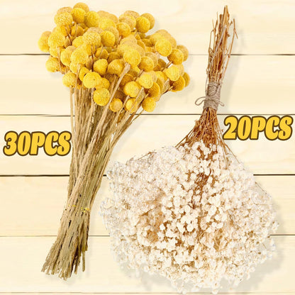 50 Pcs Dried Billy Balls & White Baby’s Breath Flowers, 16" 30Pcs Dried Yellow Craspedia & 20Pcs White Gypsophila Flowers, Rustic Boho Farmhouse Decor, Wedding, Cake, Tall Vase Decoration, DIY Crafts