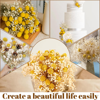 50 Pcs Dried Billy Balls & White Baby’s Breath Flowers, 16" 30Pcs Dried Yellow Craspedia & 20Pcs White Gypsophila Flowers, Rustic Boho Farmhouse Decor, Wedding, Cake, Tall Vase Decoration, DIY Crafts