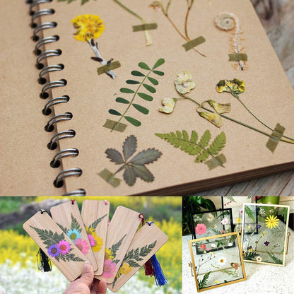 63 Pcs Real Dried Pressed Leaves Natural Dried Leaf for Candle Resin Jewelry Soap Nail Pendant Phone Case Crafts Making Floral Decors Scrapbooking DIY, 21 Styles