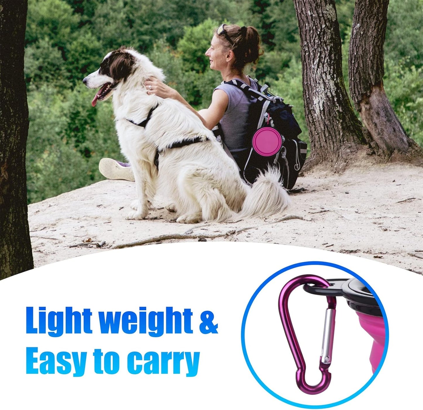 Dog Bowl Pet Collapsible Bowls, 2 Pack Collapsible Dog Water Bowls for Cats Dogs, Portable Pet Feeding Watering Dish for Walking Parking Traveling with 2 Carabiners (Small, Pink+Purple)