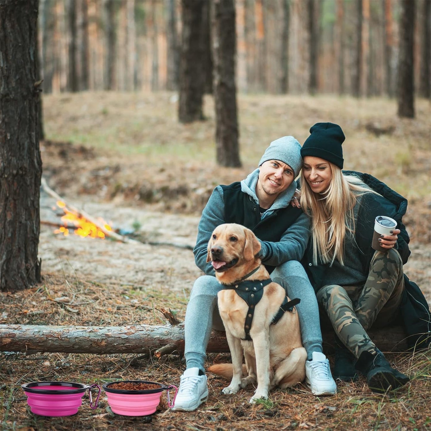 Dog Bowl Pet Collapsible Bowls, 2 Pack Collapsible Dog Water Bowls for Cats Dogs, Portable Pet Feeding Watering Dish for Walking Parking Traveling with 2 Carabiners (Small, Pink+Purple)