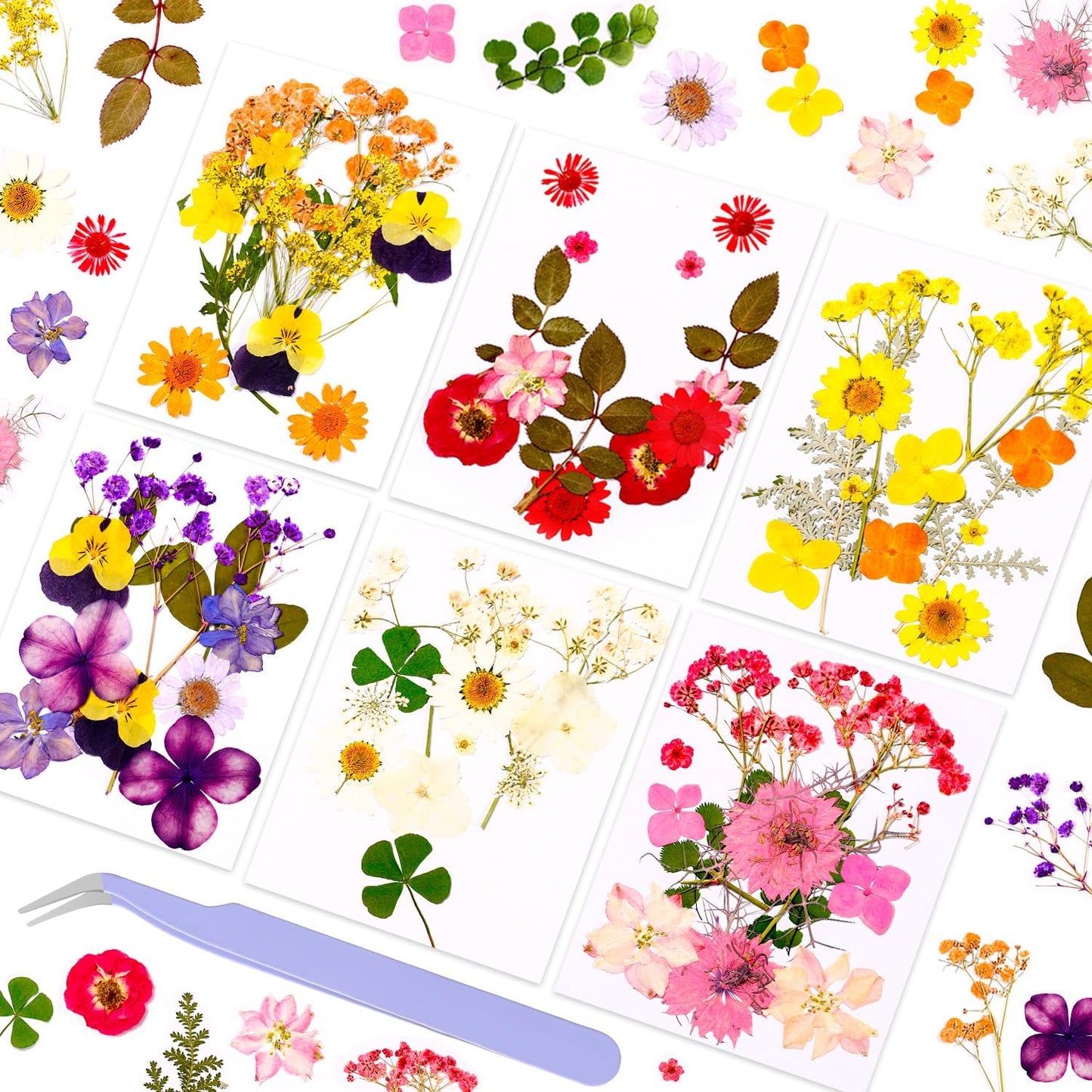 Pressed Dried Flowers for Resin Crafting, Natural Preserved Petals & Leaves for Art, Candles, Scrapbooking, Nail Art, Floral Decor – Complete Kit for Crafts & DIY Projects