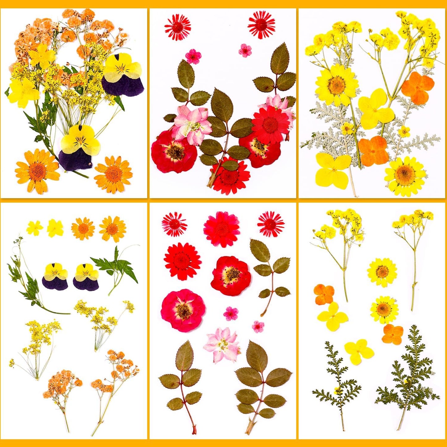 Pressed Dried Flowers for Resin Crafting, Natural Preserved Petals & Leaves for Art, Candles, Scrapbooking, Nail Art, Floral Decor – Complete Kit for Crafts & DIY Projects