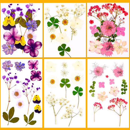 Pressed Dried Flowers for Resin Crafting, Natural Preserved Petals & Leaves for Art, Candles, Scrapbooking, Nail Art, Floral Decor – Complete Kit for Crafts & DIY Projects