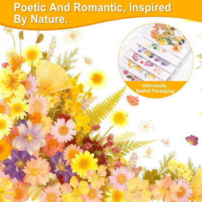 Pressed Dried Flowers for Resin Crafting, Natural Preserved Petals & Leaves for Art, Candles, Scrapbooking, Nail Art, Floral Decor – Complete Kit for Crafts & DIY Projects