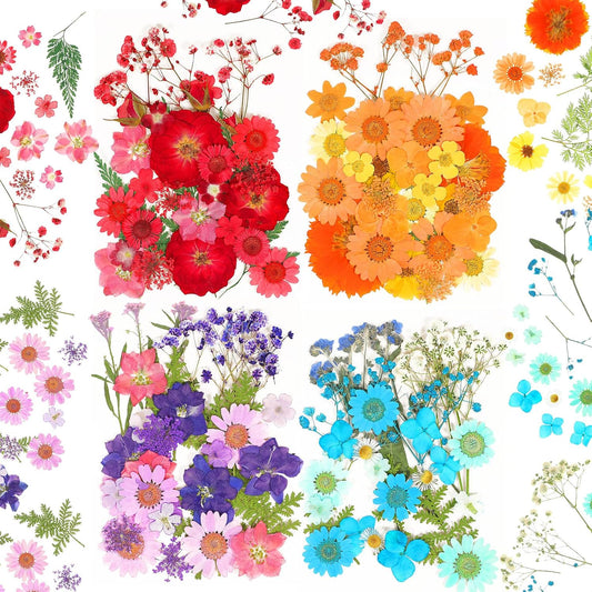 100 Pieces Dried Pressed Flowers for Resin Real Nature Flowers with Leaves Dried Flowers for Crafts DIY Art Candle Soap Making Decors(Colorful Flower)