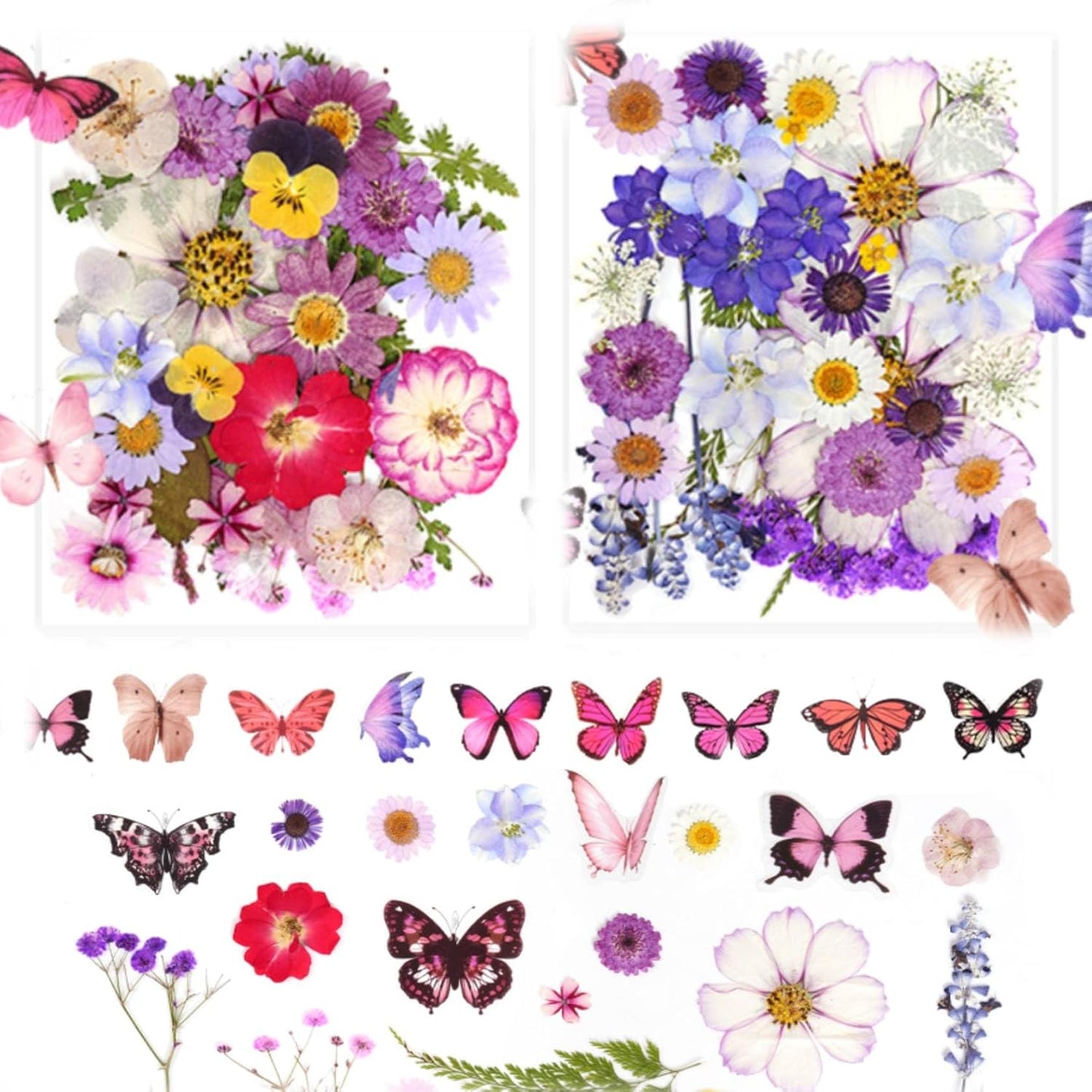 Totally 108pcs Real Dried Pressed Flowers with Butterfly Stickers | Resin Crafts,Real Dry Floral,Assorted Natural Bulk for DIY Art Crafts Scrapbooking Epoxy Jewelry Molds Nails Décor,Purple