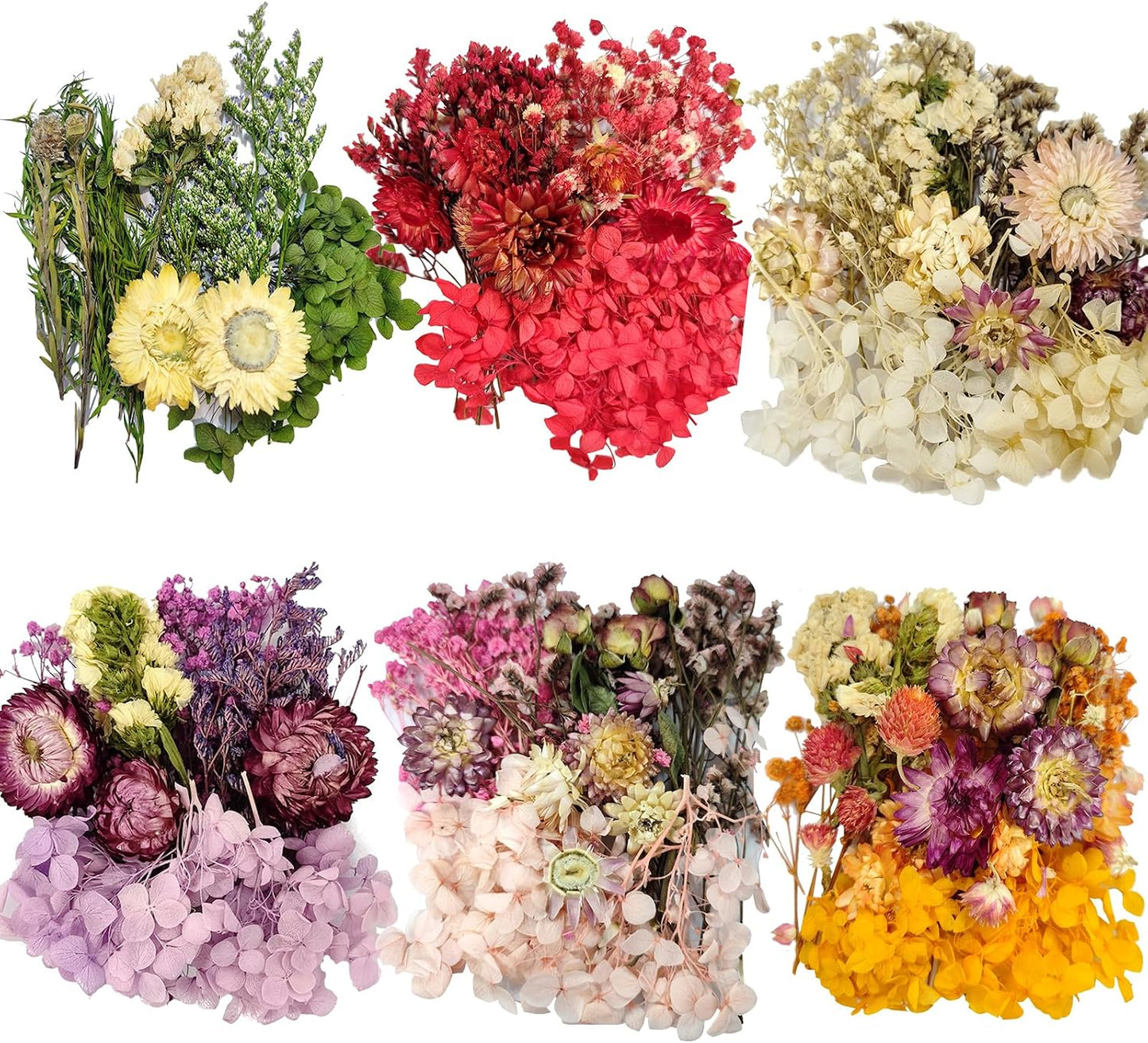 6 Color Themes Natural Dried Flowers Small Real Dry Flower for Resin, Soap Making, Greeting Cards, Craft Projects