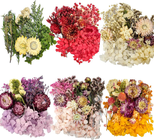 6 Color Themes Natural Dried Flowers Small Real Dry Flower for Resin, Soap Making, Greeting Cards, Craft Projects