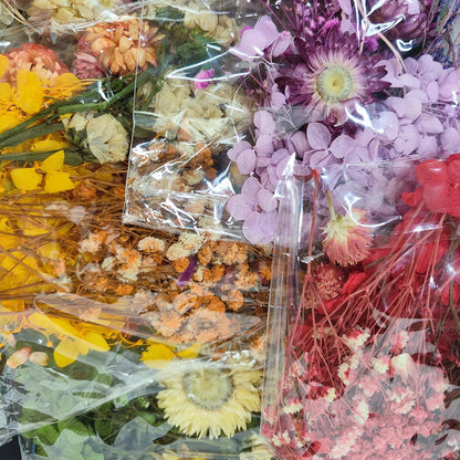 6 Color Themes Natural Dried Flowers Small Real Dry Flower for Resin, Soap Making, Greeting Cards, Craft Projects