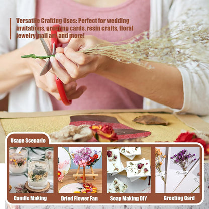 6 Color Themes Natural Dried Flowers Small Real Dry Flower for Resin, Soap Making, Greeting Cards, Craft Projects