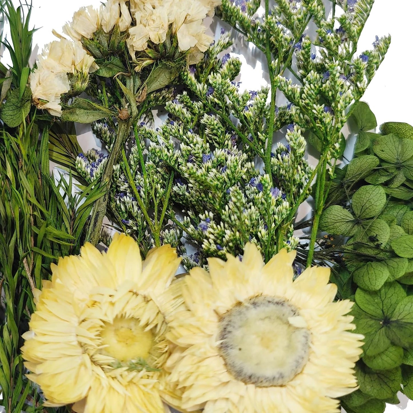 6 Color Themes Natural Dried Flowers Small Real Dry Flower for Resin, Soap Making, Greeting Cards, Craft Projects