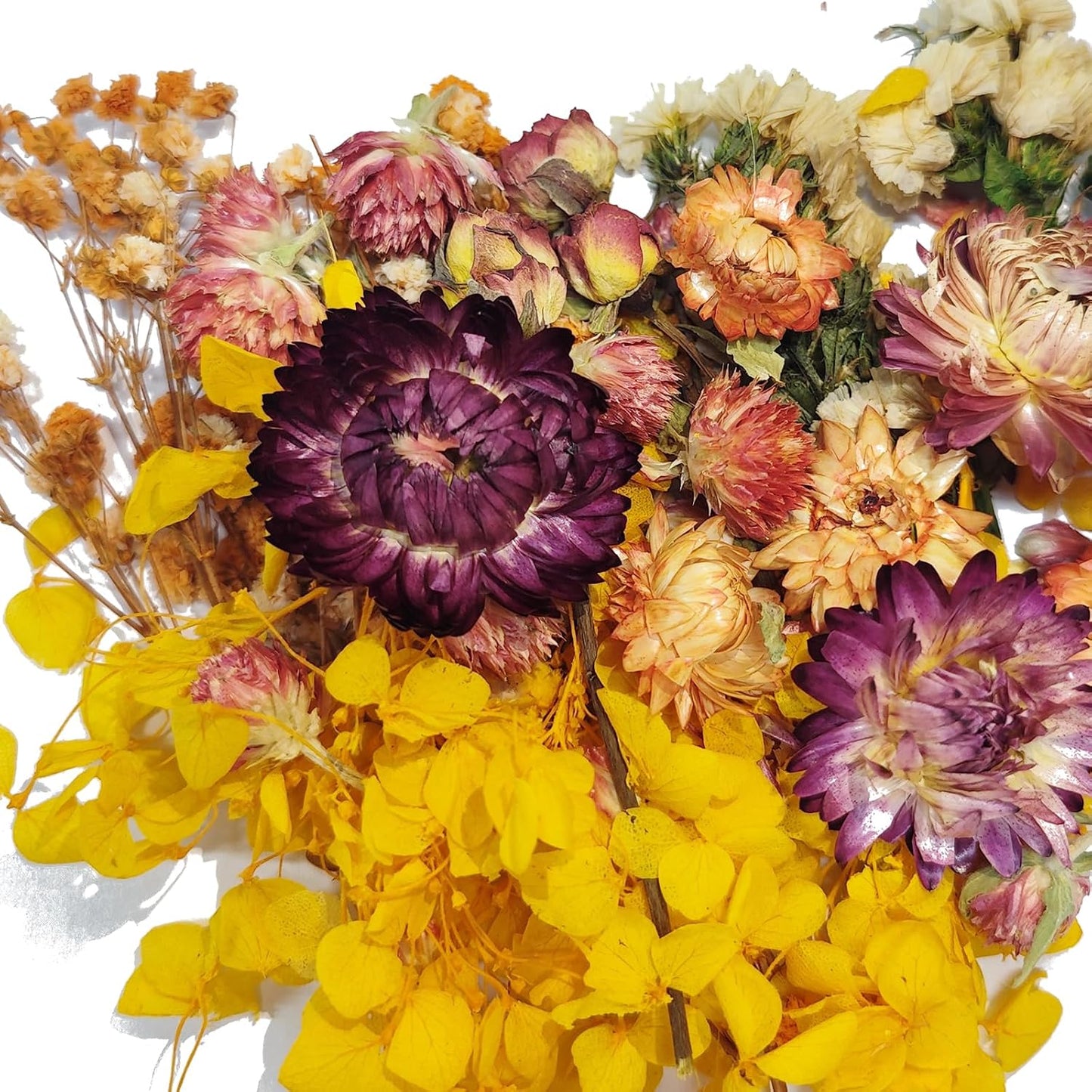 6 Color Themes Natural Dried Flowers Small Real Dry Flower for Resin, Soap Making, Greeting Cards, Craft Projects