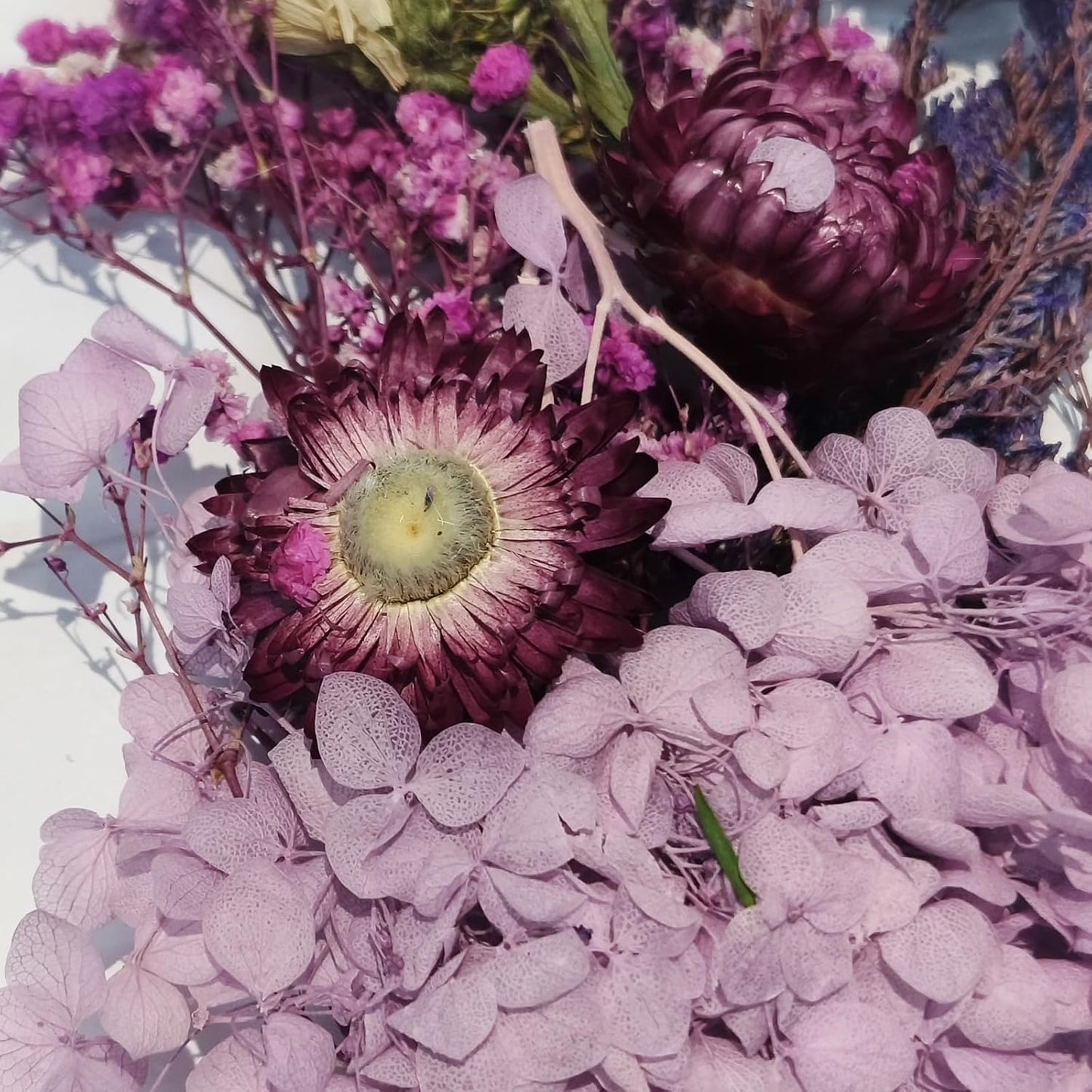 6 Color Themes Natural Dried Flowers Small Real Dry Flower for Resin, Soap Making, Greeting Cards, Craft Projects