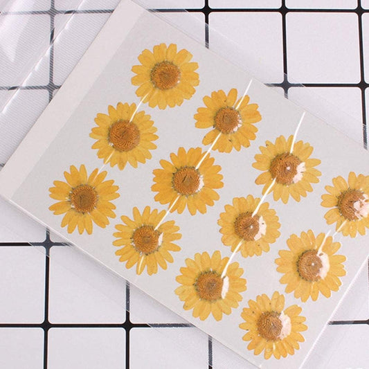 50pcs Natural Dried Daisy Flower, Vacuum Packaging, Pressed Flower for House Decoration, Jewelry Making, Phone case Decoration (Orange Yellow)