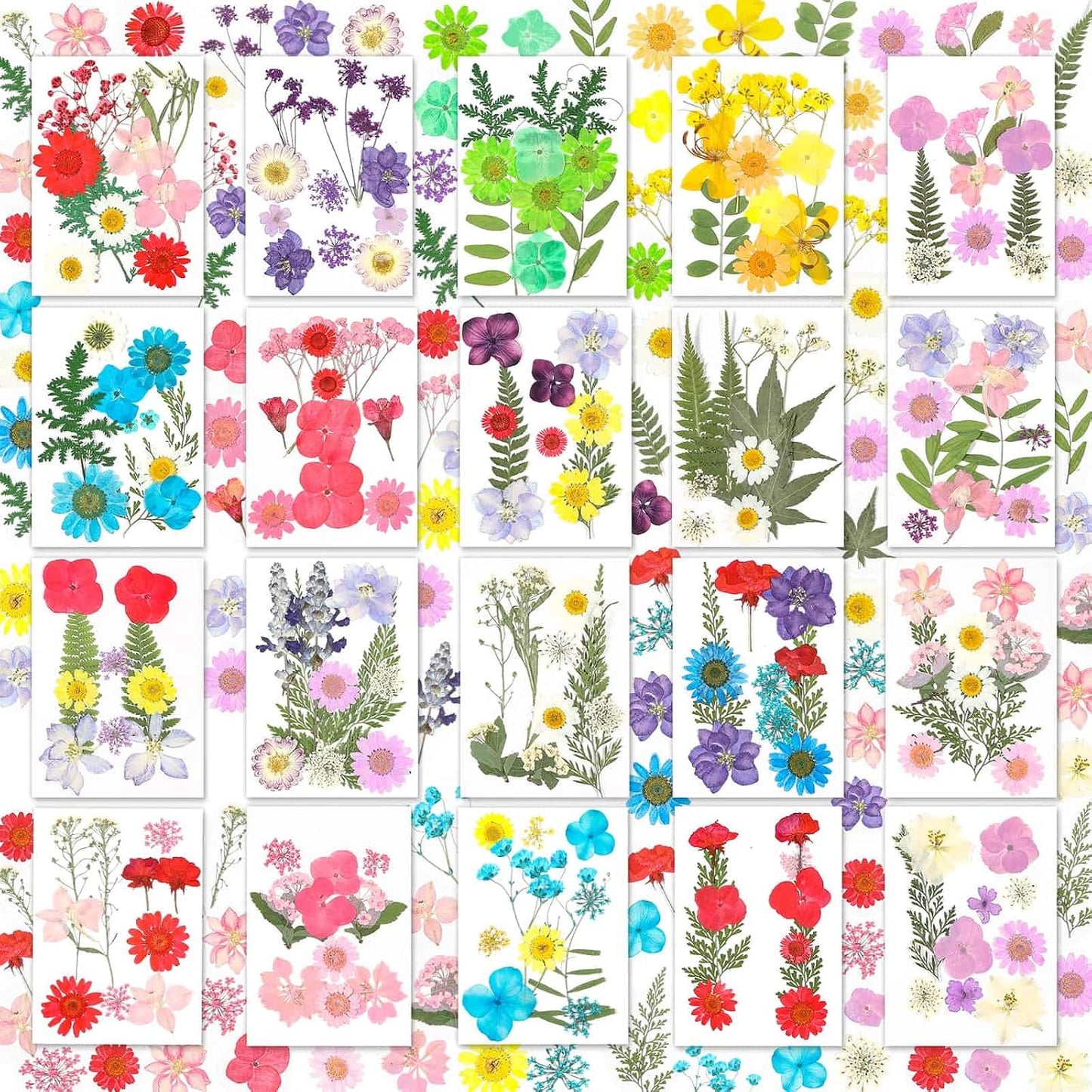 200 Pcs Small Dried Pressed Flowers Leaves for Resin Crafts, 20 Sheets | Real Dry Florals Bulk for Epoxy Molds, Candle Soap Scrapbook Bookmark Frame Making Supplies Kit, Nail Art Makeup Decor