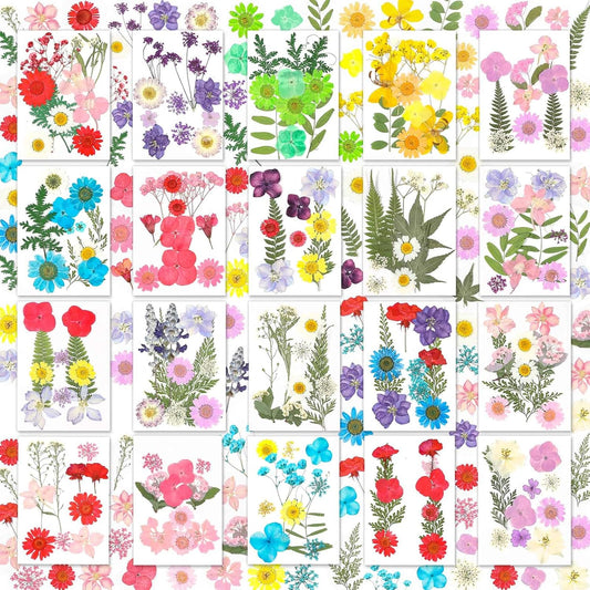 200 Pcs Small Dried Pressed Flowers Leaves for Resin Crafts, 20 Sheets | Real Dry Florals Bulk for Epoxy Molds, Candle Soap Scrapbook Bookmark Frame Making Supplies Kit, Nail Art Makeup Decor