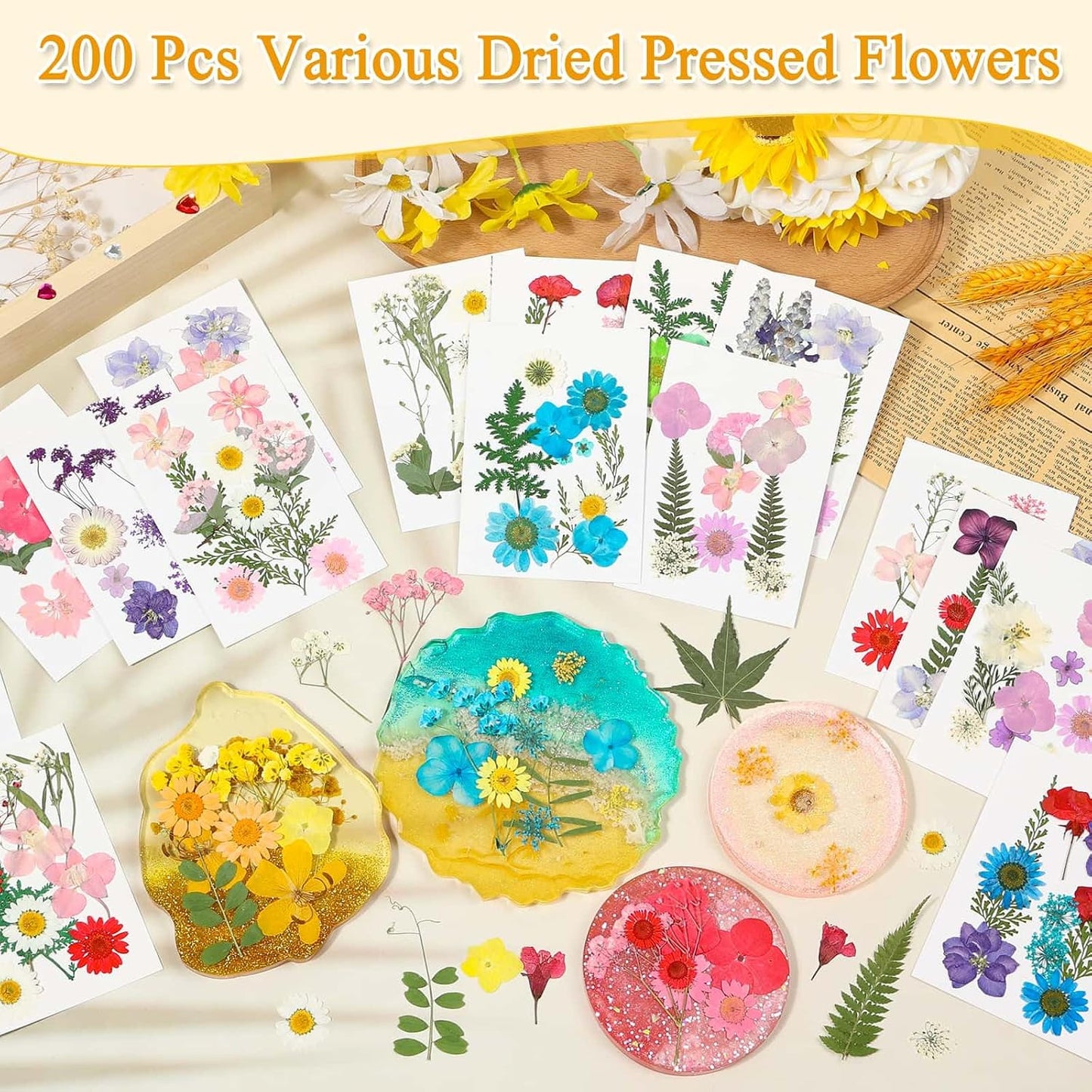 200 Pcs Small Dried Pressed Flowers Leaves for Resin Crafts, 20 Sheets | Real Dry Florals Bulk for Epoxy Molds, Candle Soap Scrapbook Bookmark Frame Making Supplies Kit, Nail Art Makeup Decor