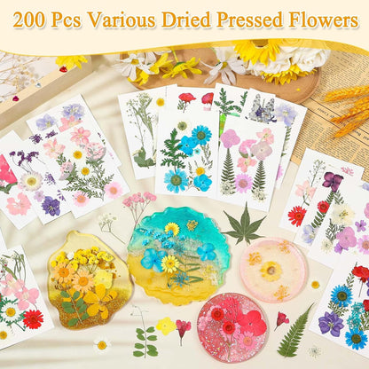 200 Pcs Small Dried Pressed Flowers Leaves for Resin Crafts, 20 Sheets | Real Dry Florals Bulk for Epoxy Molds, Candle Soap Scrapbook Bookmark Frame Making Supplies Kit, Nail Art Makeup Decor