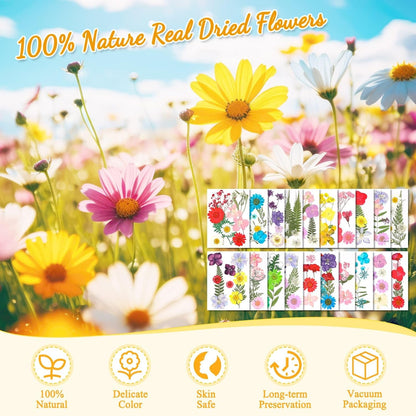 200 Pcs Small Dried Pressed Flowers Leaves for Resin Crafts, 20 Sheets | Real Dry Florals Bulk for Epoxy Molds, Candle Soap Scrapbook Bookmark Frame Making Supplies Kit, Nail Art Makeup Decor