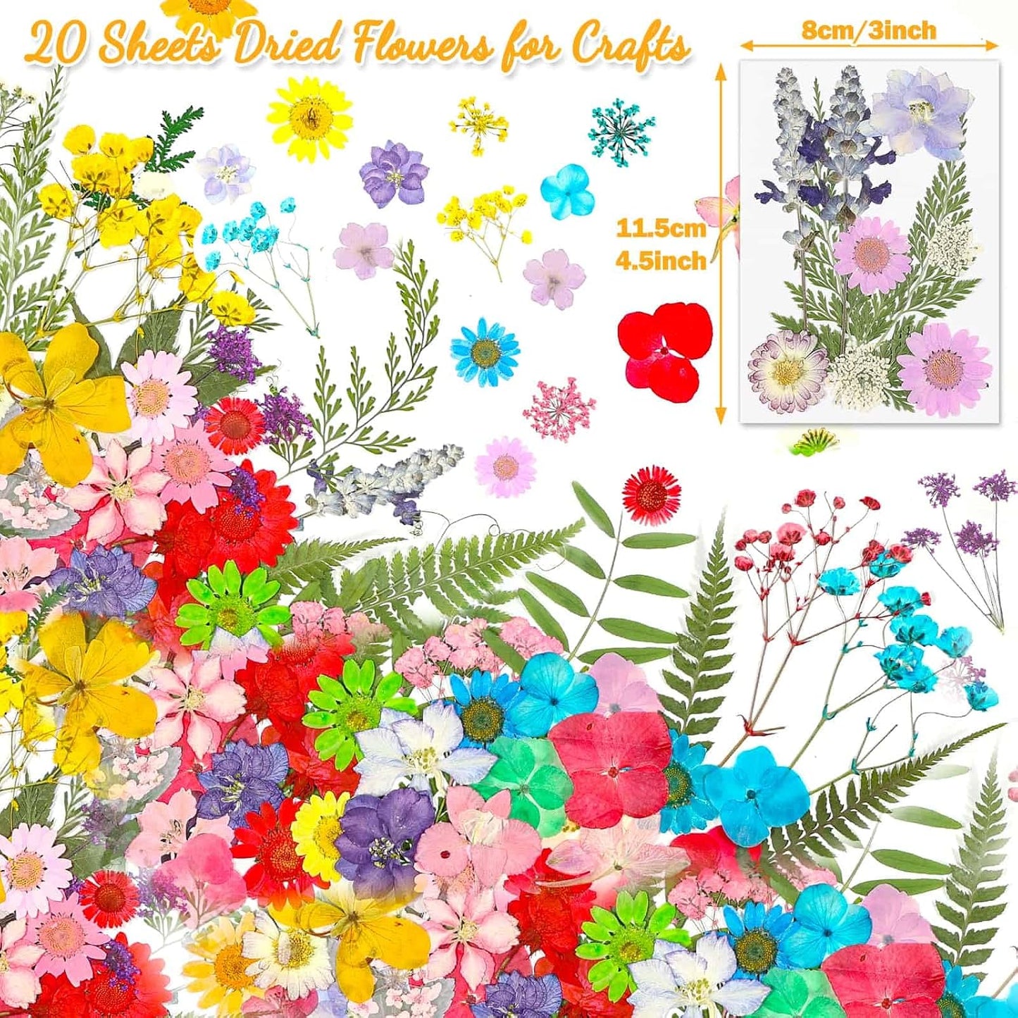 200 Pcs Small Dried Pressed Flowers Leaves for Resin Crafts, 20 Sheets | Real Dry Florals Bulk for Epoxy Molds, Candle Soap Scrapbook Bookmark Frame Making Supplies Kit, Nail Art Makeup Decor