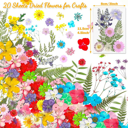 200 Pcs Small Dried Pressed Flowers Leaves for Resin Crafts, 20 Sheets | Real Dry Florals Bulk for Epoxy Molds, Candle Soap Scrapbook Bookmark Frame Making Supplies Kit, Nail Art Makeup Decor