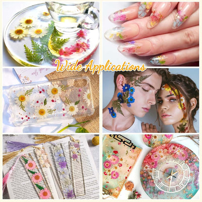200 Pcs Small Dried Pressed Flowers Leaves for Resin Crafts, 20 Sheets | Real Dry Florals Bulk for Epoxy Molds, Candle Soap Scrapbook Bookmark Frame Making Supplies Kit, Nail Art Makeup Decor