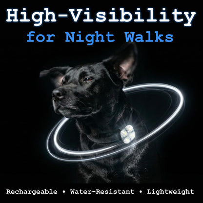 Dog Collar Light, Rechargeable LED Dog Safety Light for Night Walking, Clip-On or Strap-On Pet Light for Collar, Harness and Leash, High Visibility, Water-Resistant, USB-C, Yellow