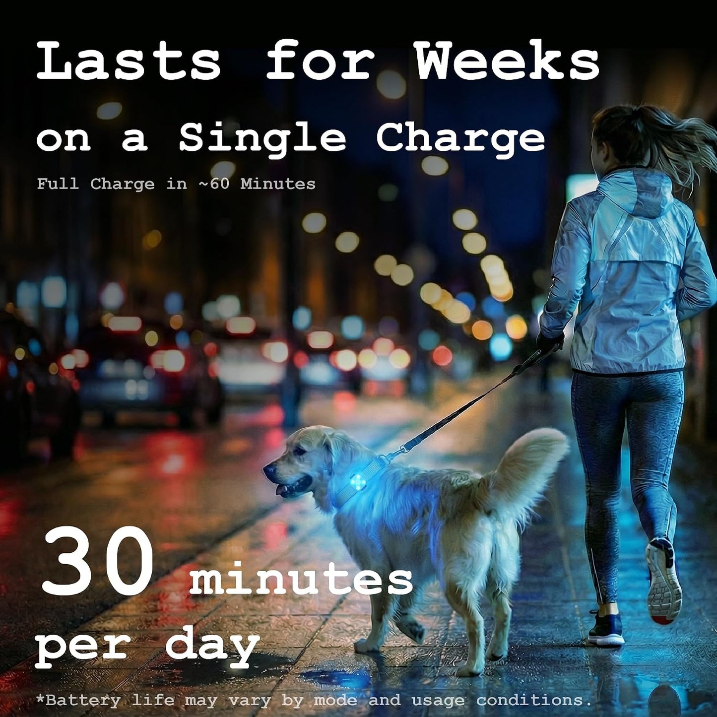 Dog Collar Light, Rechargeable LED Dog Safety Light for Night Walking, Clip-On or Strap-On Pet Light for Collar, Harness and Leash, High Visibility, Water-Resistant, USB-C, Yellow